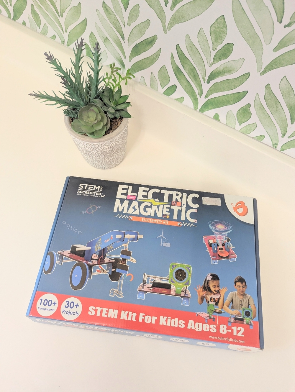 Electric Magnetic STEM Kit for Kids
